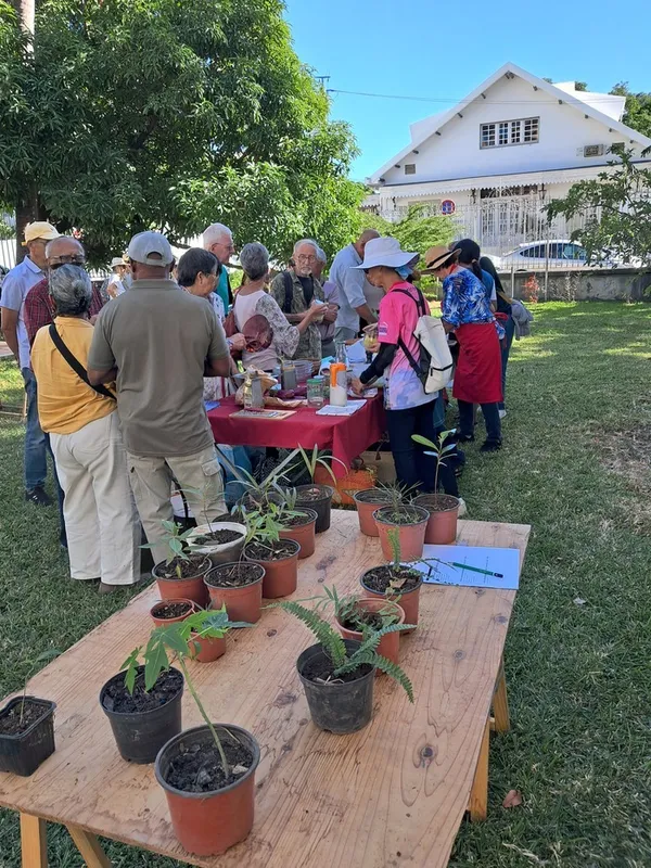 Troc de plantes, échanges entre jardiniers et ateliers au jardin