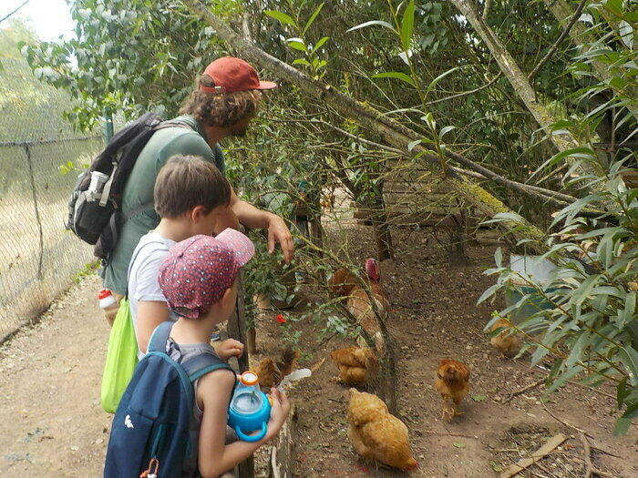 Séjour 6-8 ans "Les Pitchouns à la ferme" 5 jours