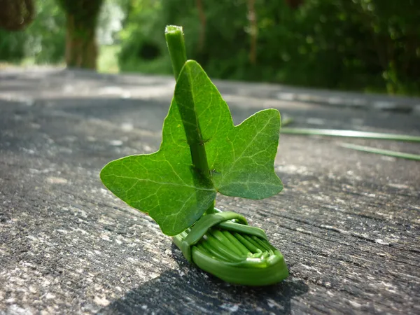 Des plantes et des jeux