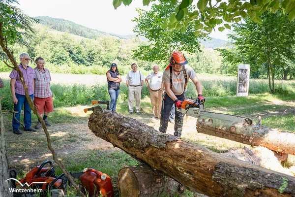 Démonstrations et ateliers - Parc Kiener à Wintzenheim