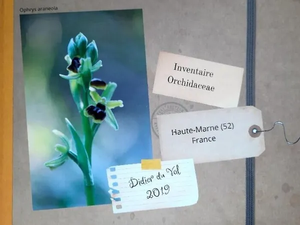 Exposition Photographique "Les Orchidées sauvages de la Haute-Marne - Etat des lieux 2026"