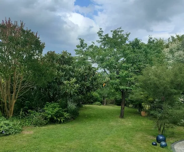 Déambulation dans un jardin paysager