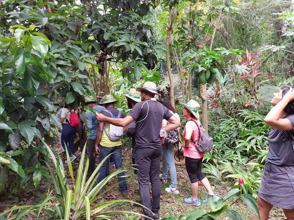 Jardin de Paulo : visites guidées