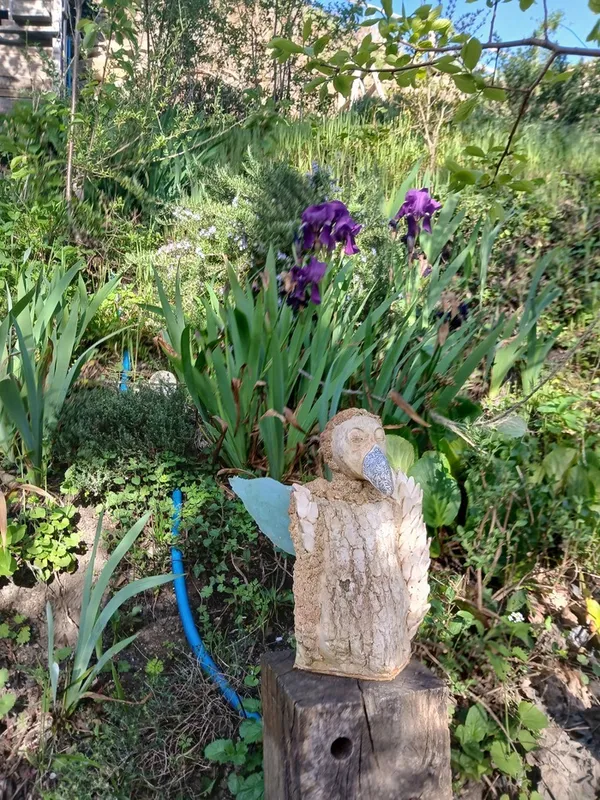 Visite commentée du jardin