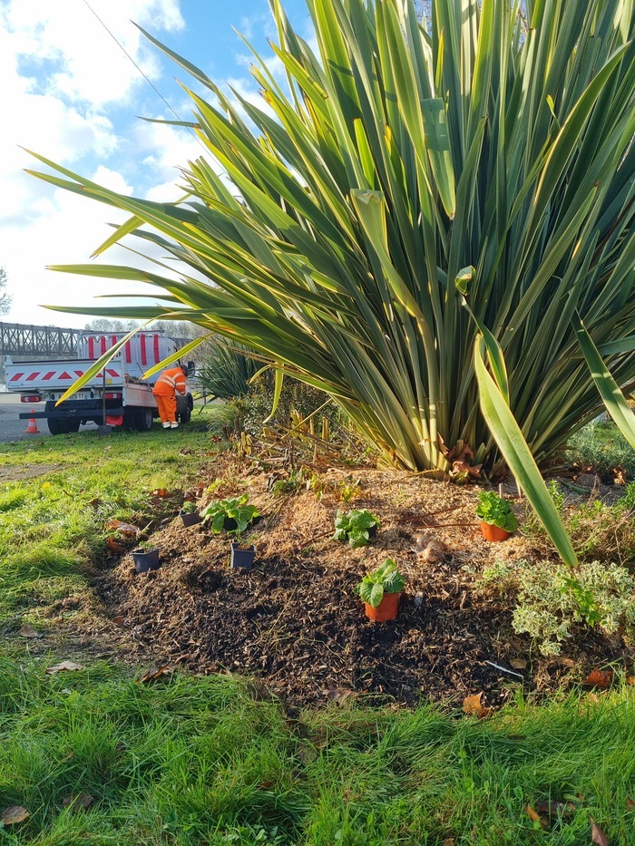 Un autre regard sur la ville : les espaces verts