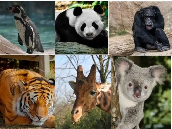ZOO DE LILLE