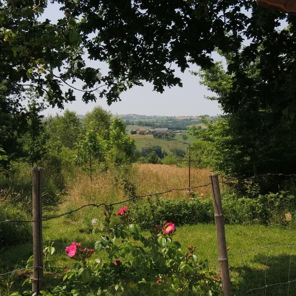 Visite de la forêt-jardin du Landassou