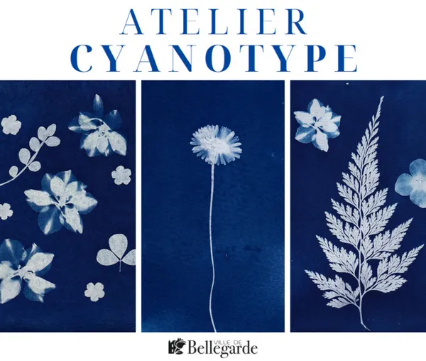 Atelier créatif végétal - Cyanotype