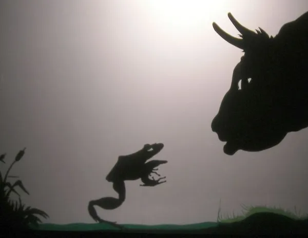 Les fables de la Fontaine, théâtre d'ombres