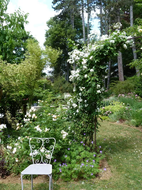Rendez-vous au jardin des Pins Noirs