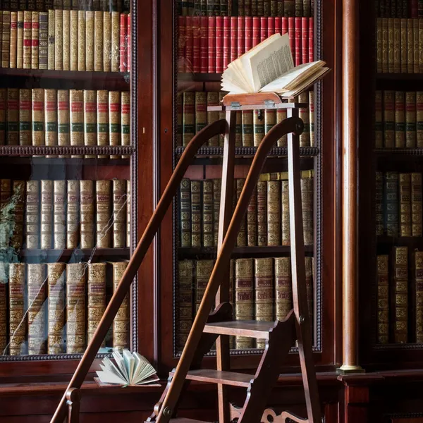 Les Bibliothèques imaginaires - Épisode 3 : La Bibliothèque imaginaire des porteurs d’histoires