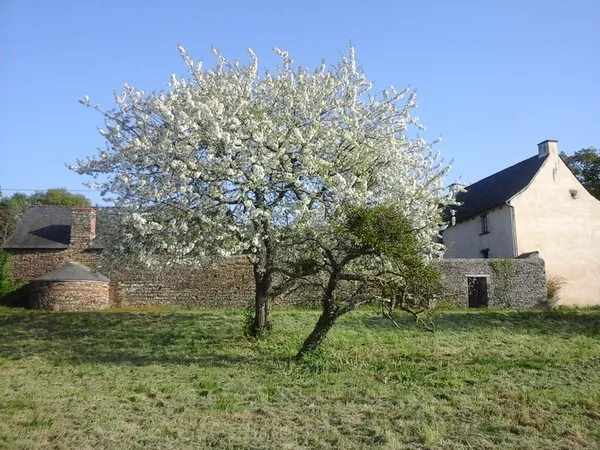 Visite guidée d’un manoir du XVe siècle