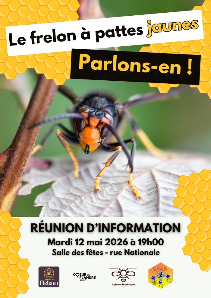 "Le frelon à pattes jaunes, parlons-en !"