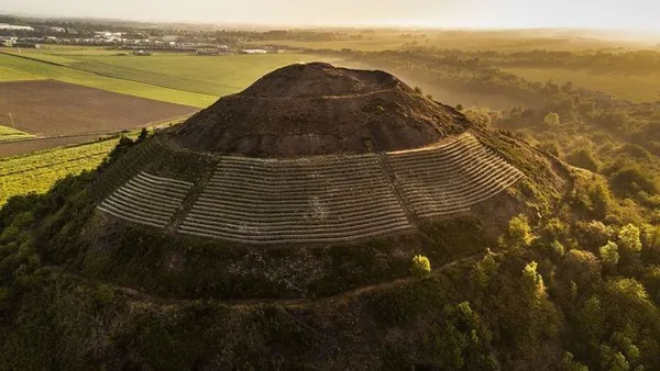 Cultivons la terre noire : du terril viticole aux jardins de la Cité des Électriciens