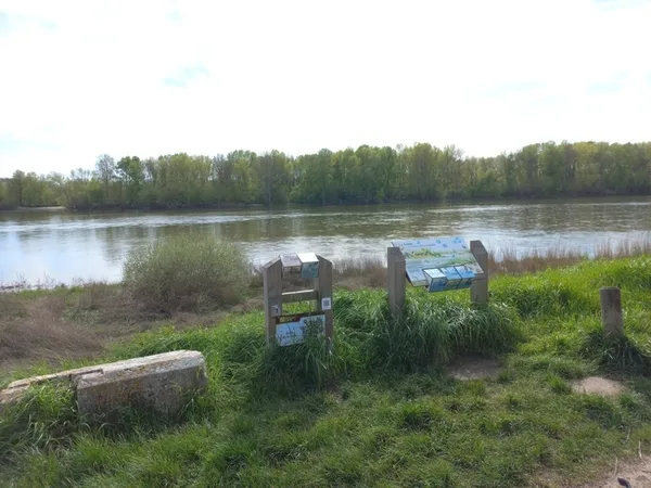 Sur les traces des oiseaux de Loire