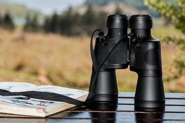 Chasse au trésor pour futur naturaliste