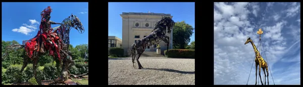 Les taxidermistes ferrugineux