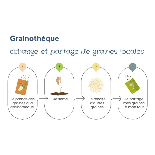 Réouverture de la grainothèque