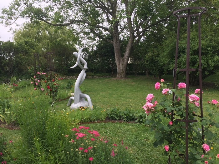 Visite-découverte de la roseraie-conservatoire Marcel Robichon