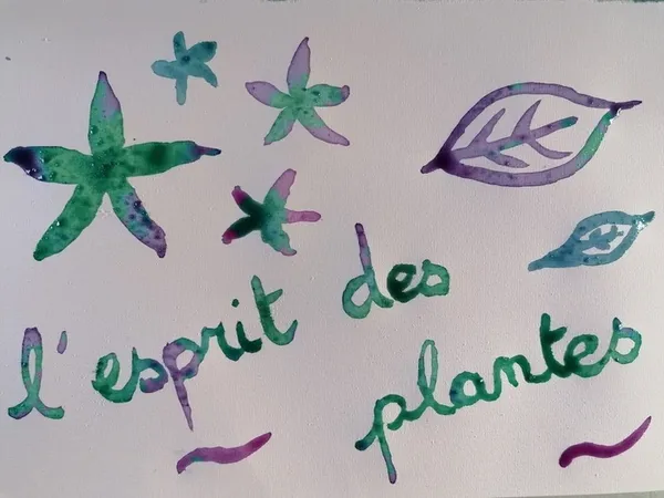 Atelier "couleurs végétales"