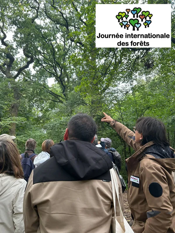La forêt régionale de Ferrières : aménagée et gérée pour l’accueil du public, la préservation de la biodiversité et le renouvellement des boisements