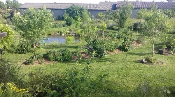 Découvrez "La Nourrice", Jardin-forêt comestible et habitable
