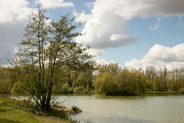 Balade naturaliste: exploration artistique