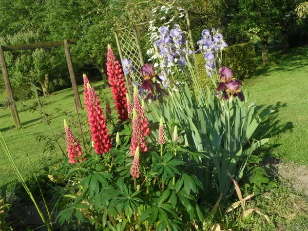 Visite guidée du potager et du verger
