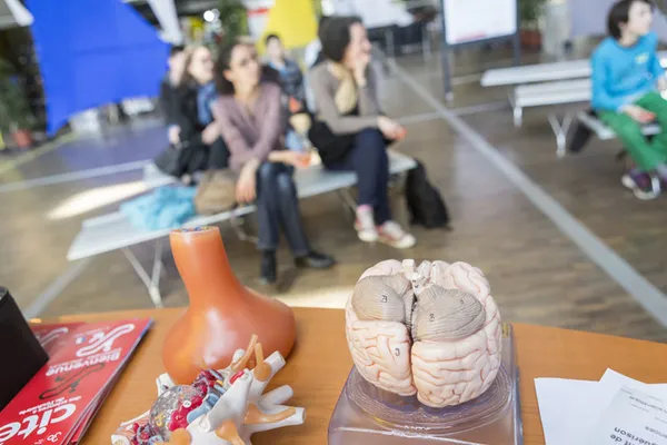 Quiz des idées reçues sur le cerveau