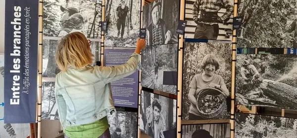 Exposition « Entre les branches, à l’affût des émotions partagées en forêt »