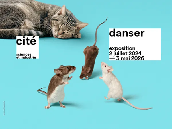 Danser