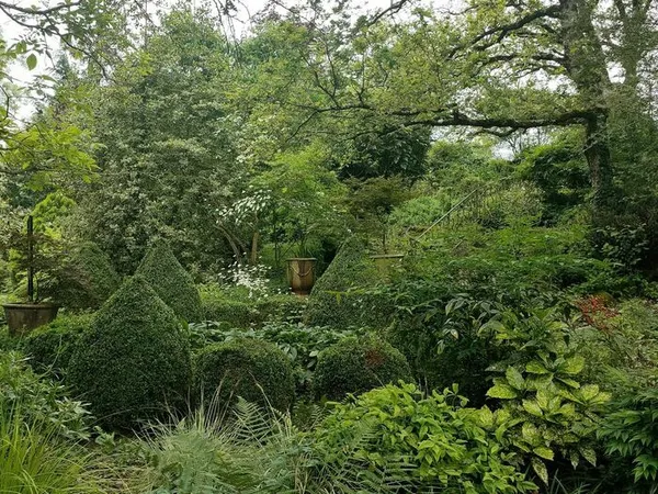 Venez vous égarer dans un petit coin de paradis