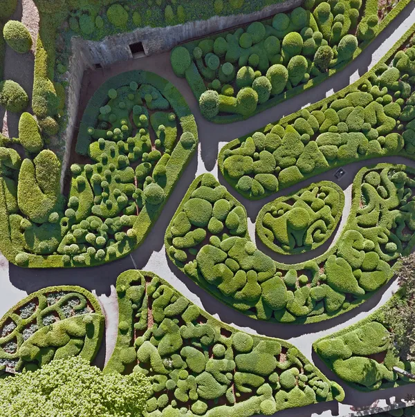 Visite guidée des Jardins de Marqueyssac - Belvédère de la Dordogne