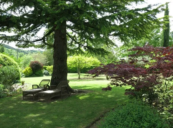 Visite guidée du jardin de Théonine