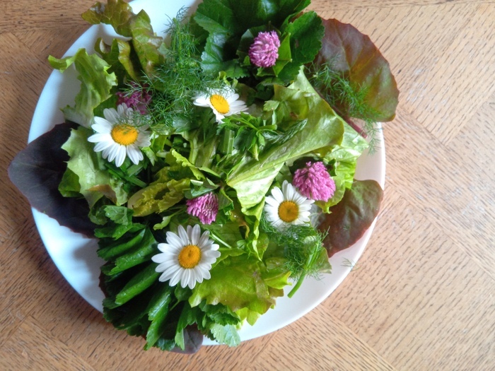 Le potager insolite aux plantes musiciennes