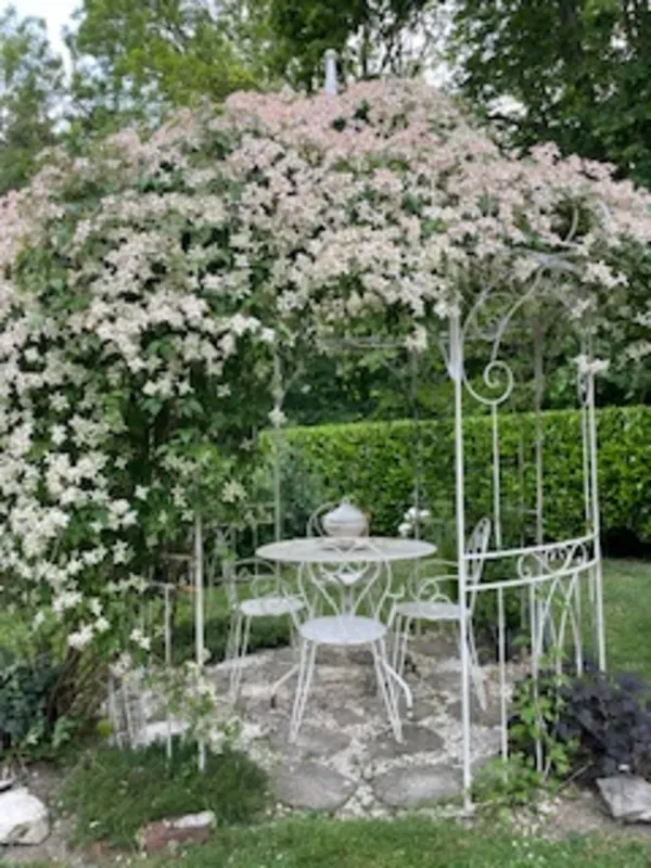 Les 5 sens au jardin : La vue