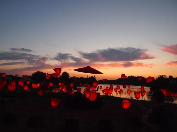 LE CHANT DES COQUELICOTS