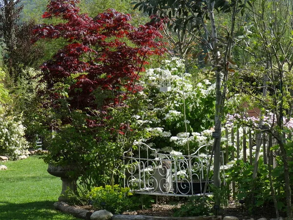 visite guidée du Jardin du Grand Charme
