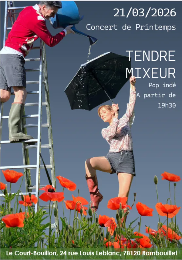 Tendre Mixeur, Concert de Printemps, pop indé