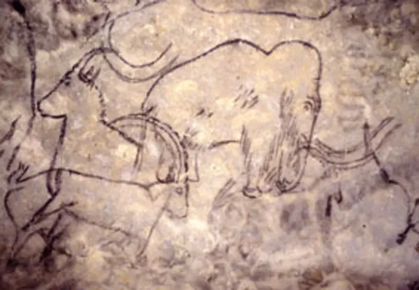 Visite guidée de la Grotte de Rouffignac