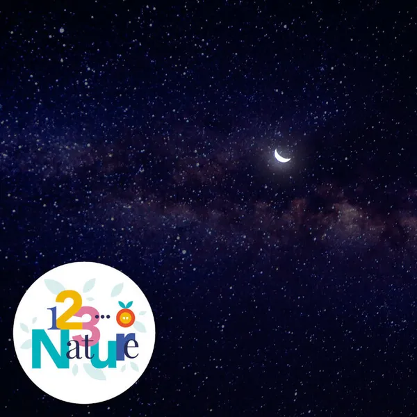 Atelier enfants - Astronomie