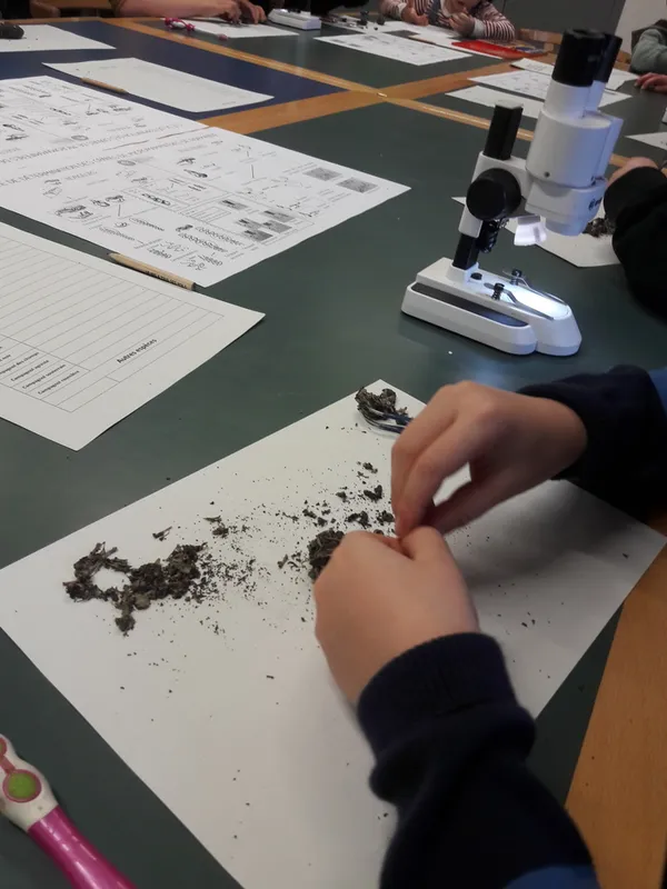 DERNIERES PLACES | Découverte des micromammifères