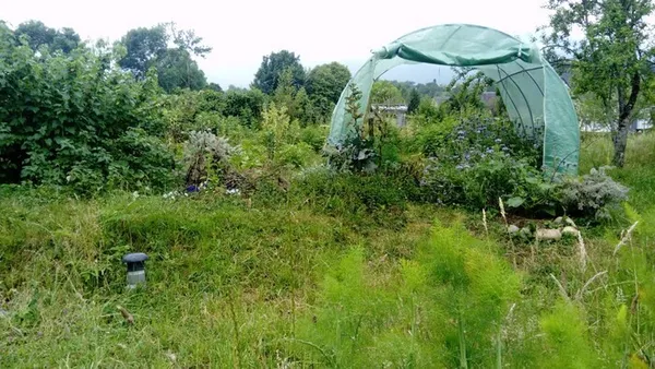 Jardin de biodiversité