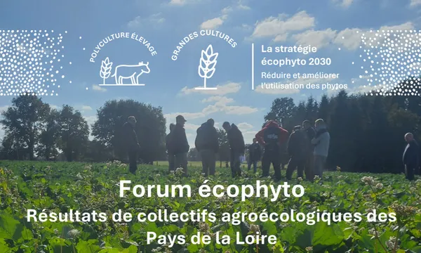 Forum écophyto 2026 (49)