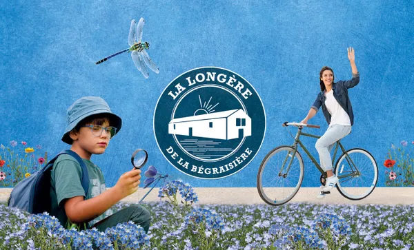 Exposition “ Libellules, entre ciel et eau ”