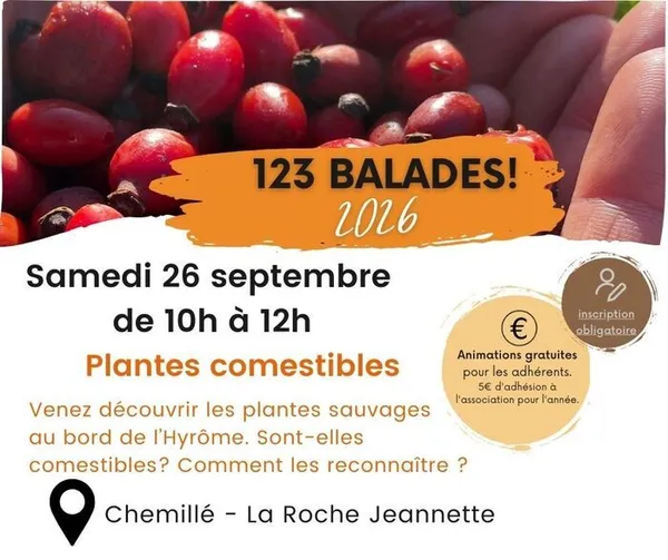 Plantes comestibles