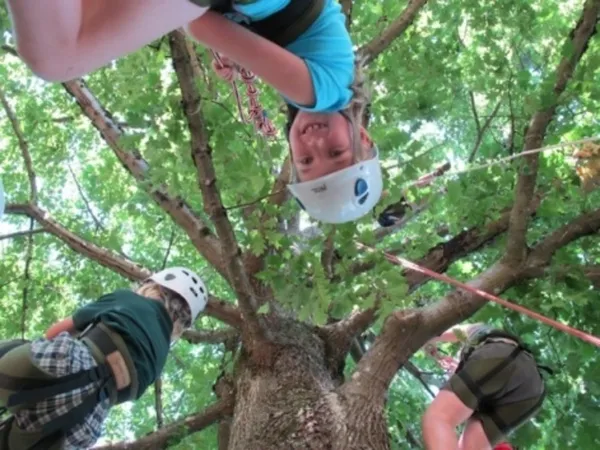 Grimpe d'arbres en forêt régionale de Rougeau : découverte du Footlock