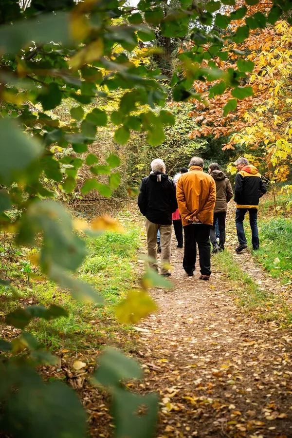 Balade botanique du parc du Vignaou : visite guidée