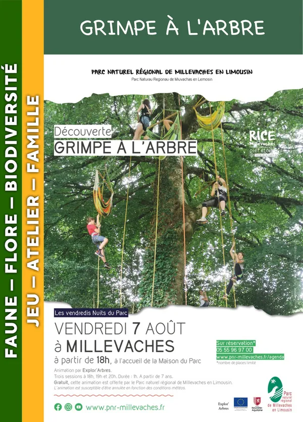 MILLEVACHES - Grimpe d'arbre