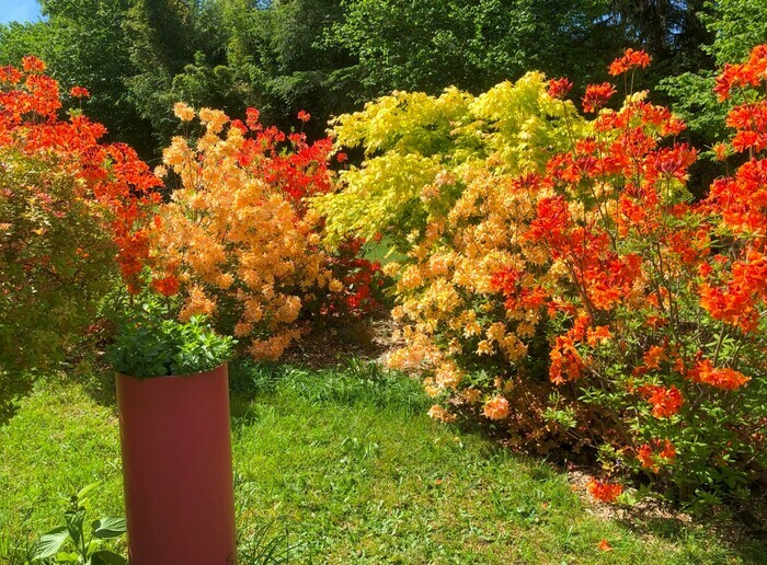 Découverte ou redécouverte du Jardin du Pré en Bulle